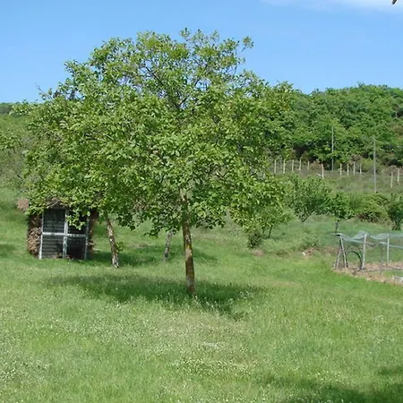 Casa Vacanza Le Corniole Civitella in Val di Chiana Exterior foto