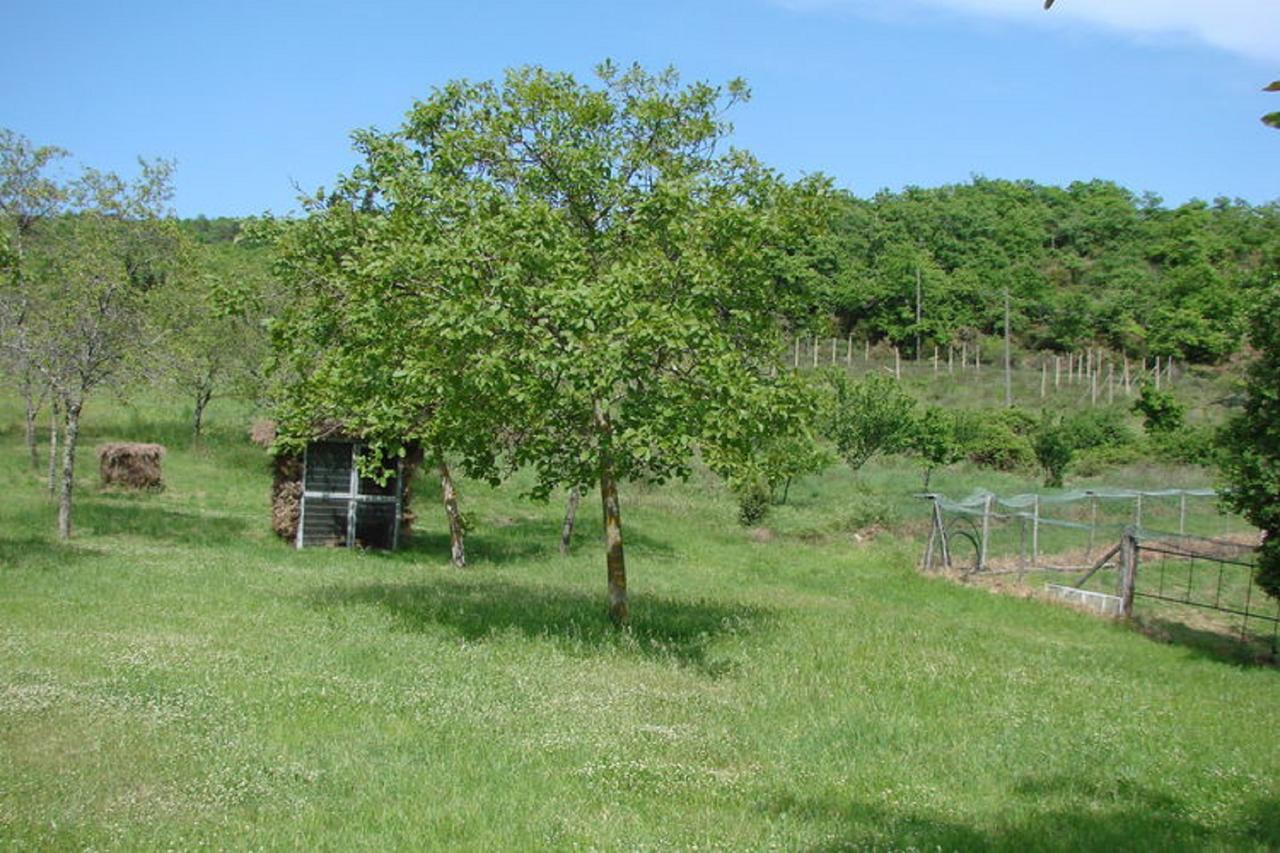 Ferienhaus Casa Le Corniole *